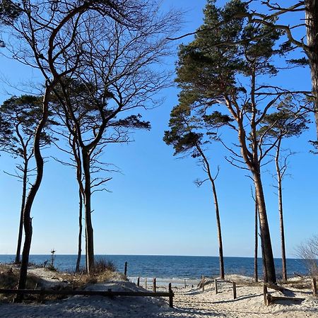 Ferienwohnung Strandkoje Dierhagen Bagian luar foto