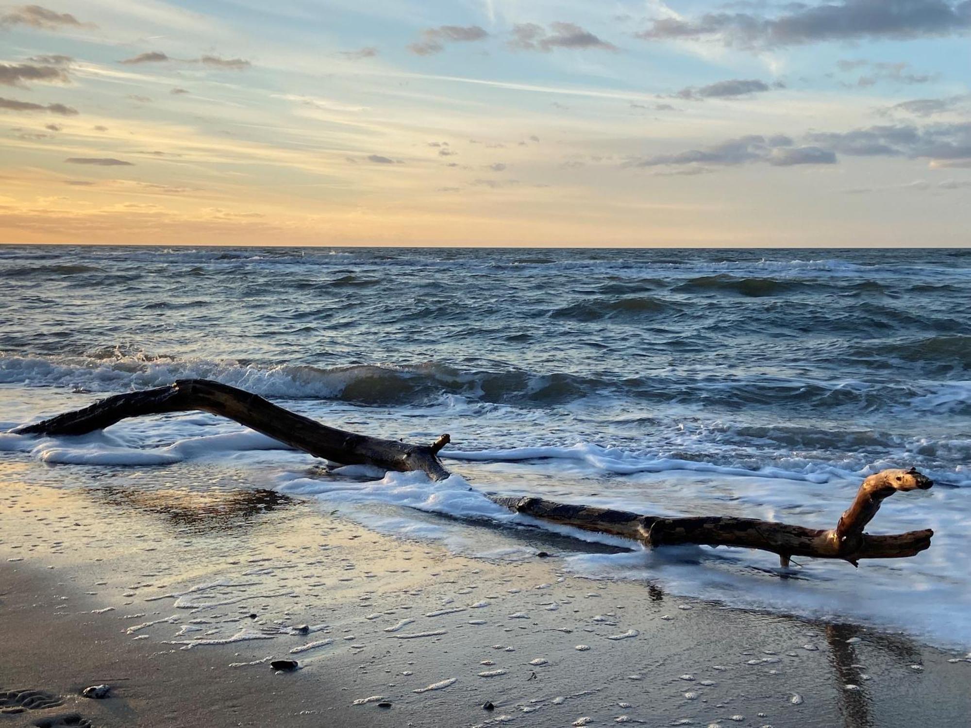 Ferienwohnung Strandkoje Dierhagen Bagian luar foto