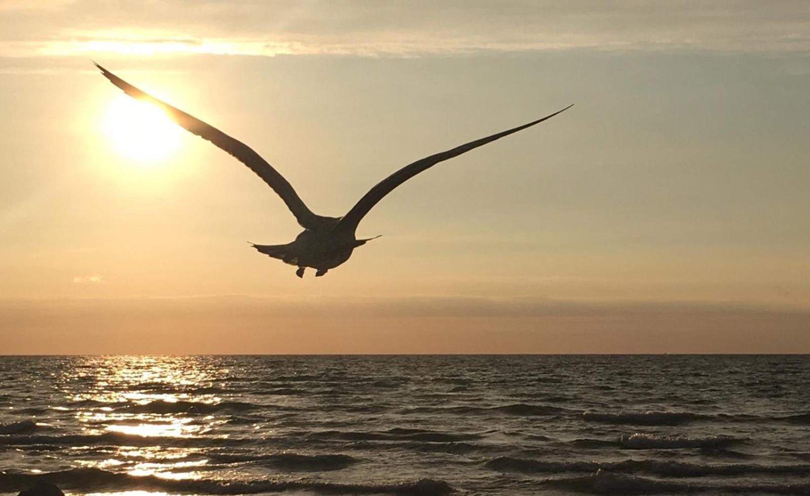 Ferienwohnung Strandkoje Dierhagen Bagian luar foto