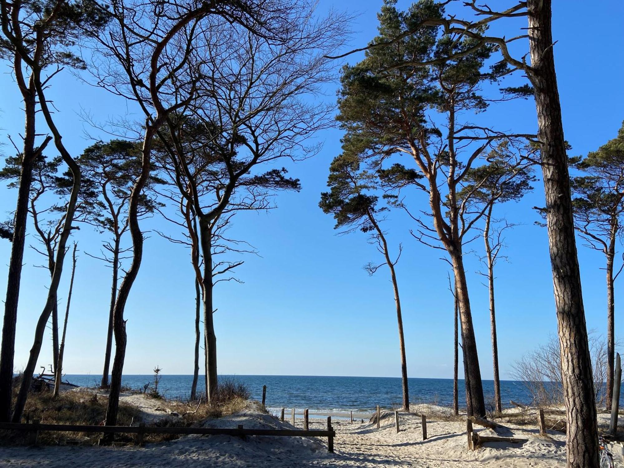 Ferienwohnung Strandkoje Dierhagen Bagian luar foto