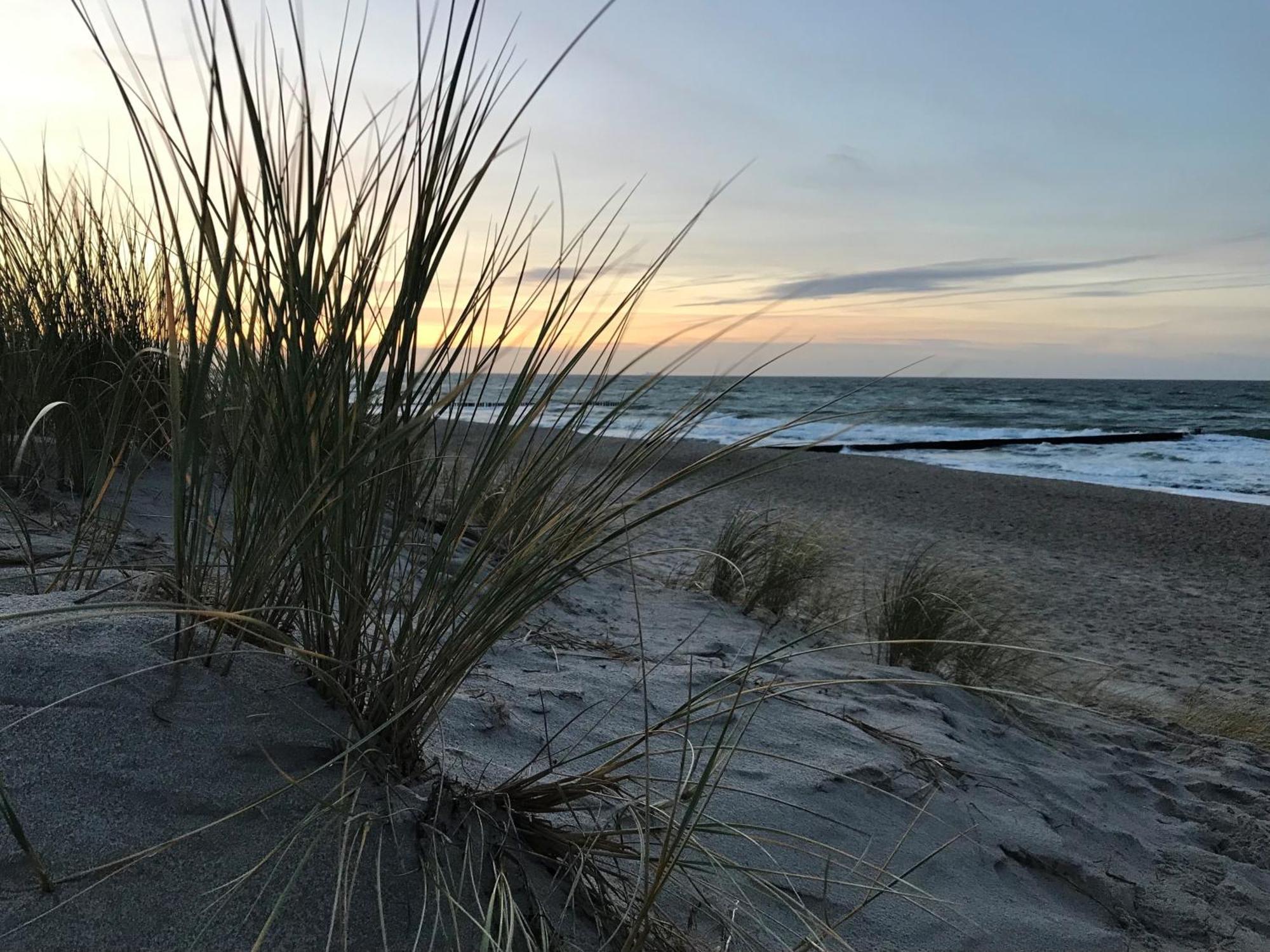 Ferienwohnung Strandkoje Dierhagen Bagian luar foto